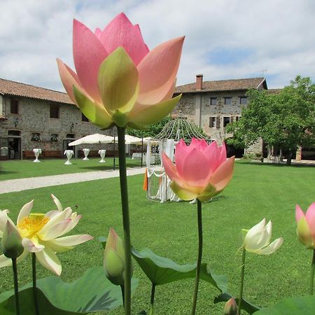 Agriturismo Il Vagabondo Buttrio Eksteriør billede