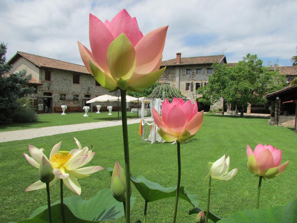 Agriturismo Il Vagabondo Buttrio Eksteriør billede